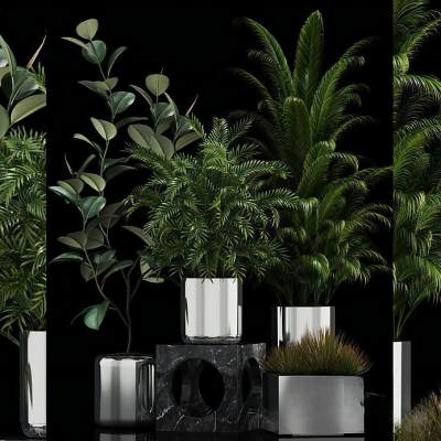现代绿植盆栽组合-D1